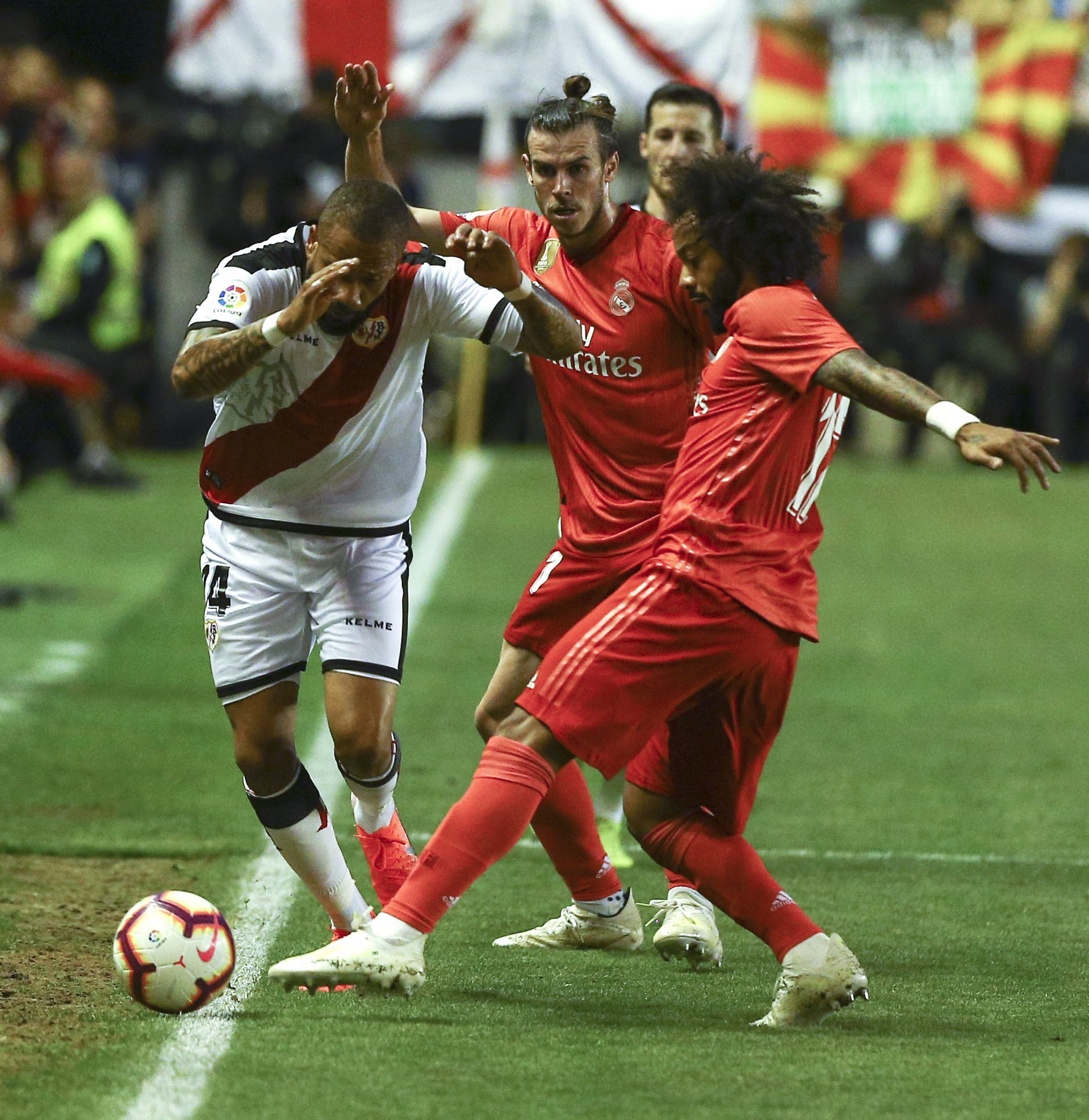 增添了不少 增添了不少